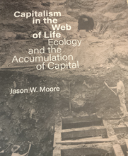 Load image into Gallery viewer, Capitalism in the Web of Life: Ecology and the Accumulation of Capital