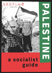 Palestine: a socialist guide