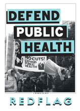 Load image into Gallery viewer, Red Flag Newspaper #289