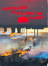 Load image into Gallery viewer, Red Flag Newspaper #291