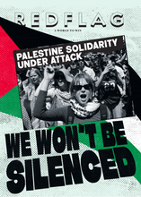 Load image into Gallery viewer, Red Flag Newspaper #293