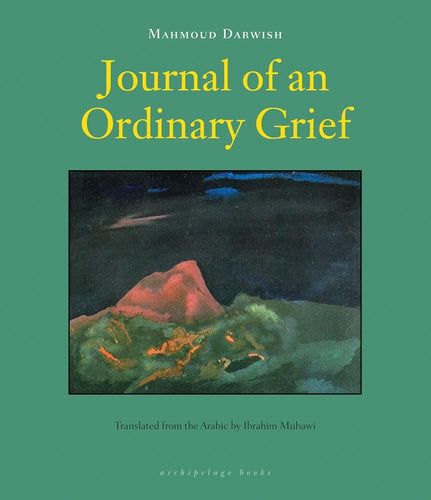 Journal of an Ordinary Grief cover image