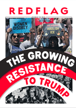 Load image into Gallery viewer, Red Flag Newspaper #289
