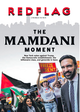 Load image into Gallery viewer, Red Flag Newspaper #289
