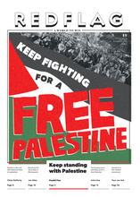 Load image into Gallery viewer, Red Flag Newspaper #295
