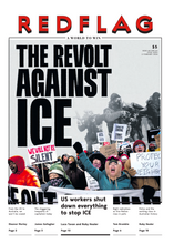 Load image into Gallery viewer, Red Flag Newspaper #294
