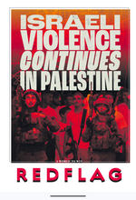 Load image into Gallery viewer, Red Flag Newspaper #308
