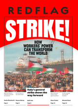Load image into Gallery viewer, Red Flag Newspaper #288
