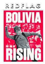 Load image into Gallery viewer, Red Flag Newspaper #303
