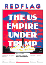 Load image into Gallery viewer, Red Flag Newspaper #308
