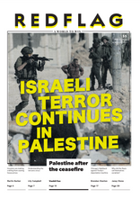 Load image into Gallery viewer, Red Flag Newspaper #291
