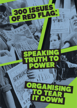 Load image into Gallery viewer, Red Flag Newspaper #300
