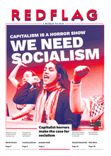 Load image into Gallery viewer, Red Flag Newspaper #285
