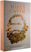 Load image into Gallery viewer, A Companion To Marx's Capital, Volume 1
