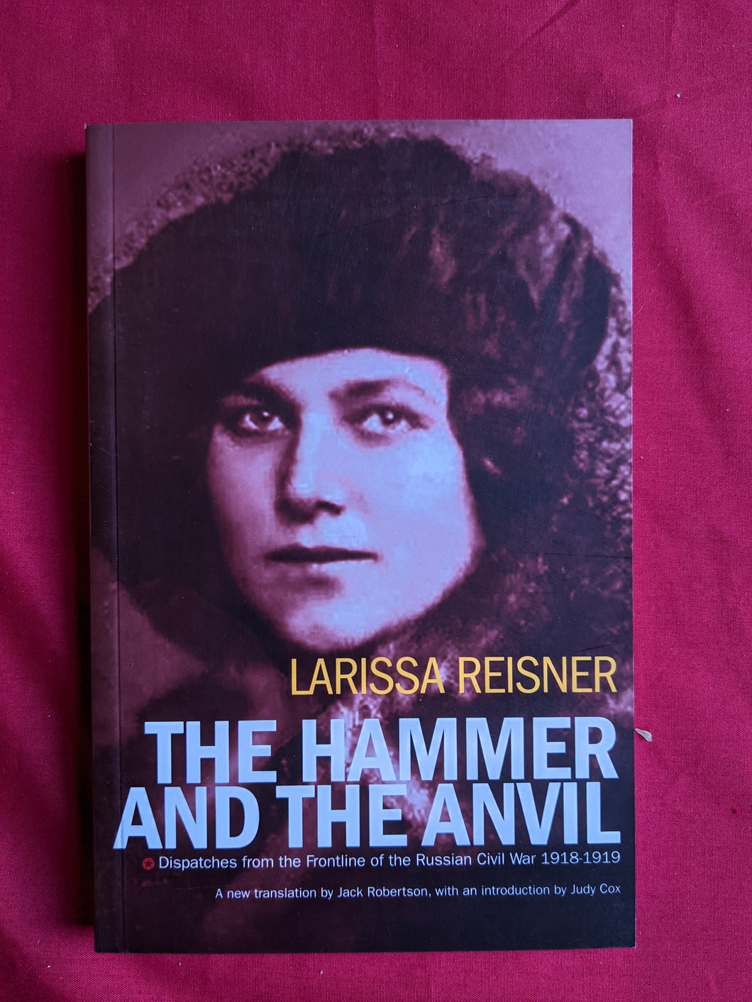 The Hammer and the Anvil - Dispatches from the Frontlines of the Russian Civil War